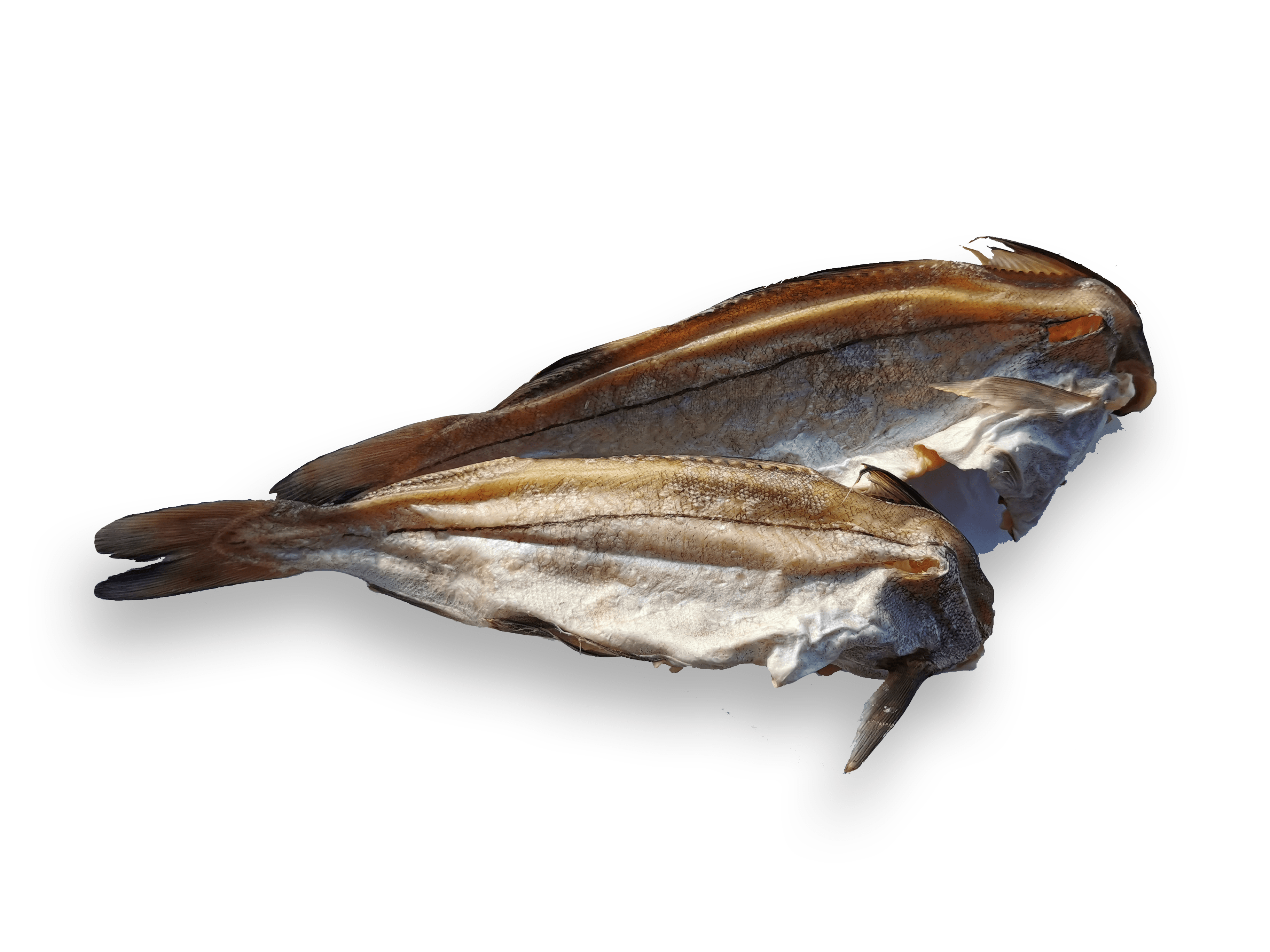 Poisson seché - Nijf